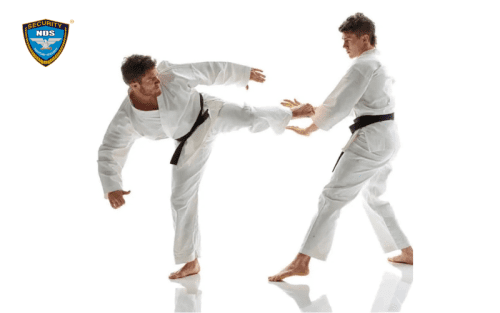Võ Karate (Karatedo)