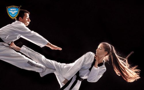 Võ Taekwondo
